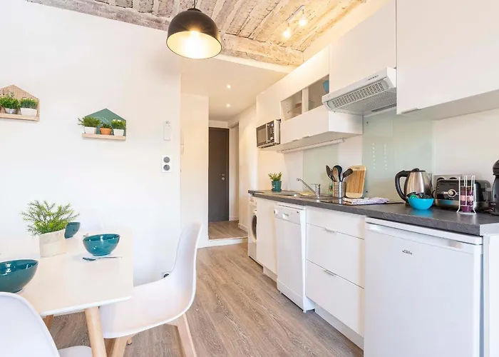 Chez Dominique - 1 Chbre Centre Migrainier T2 Avec Ac * Антіб